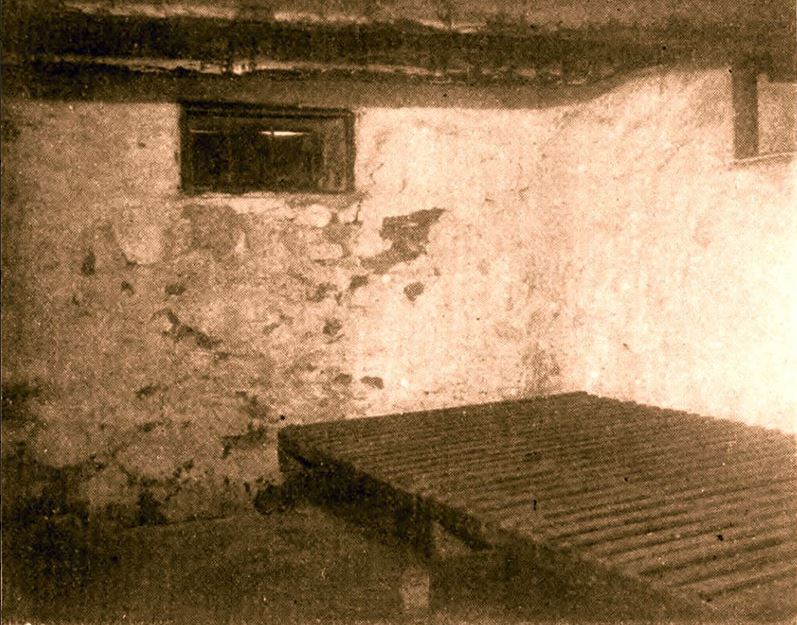First known protograph of the cellar, late nineteenth century